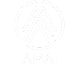 AMAI - Asociación Mexicana de Agencias de Inteligencia de Mercado